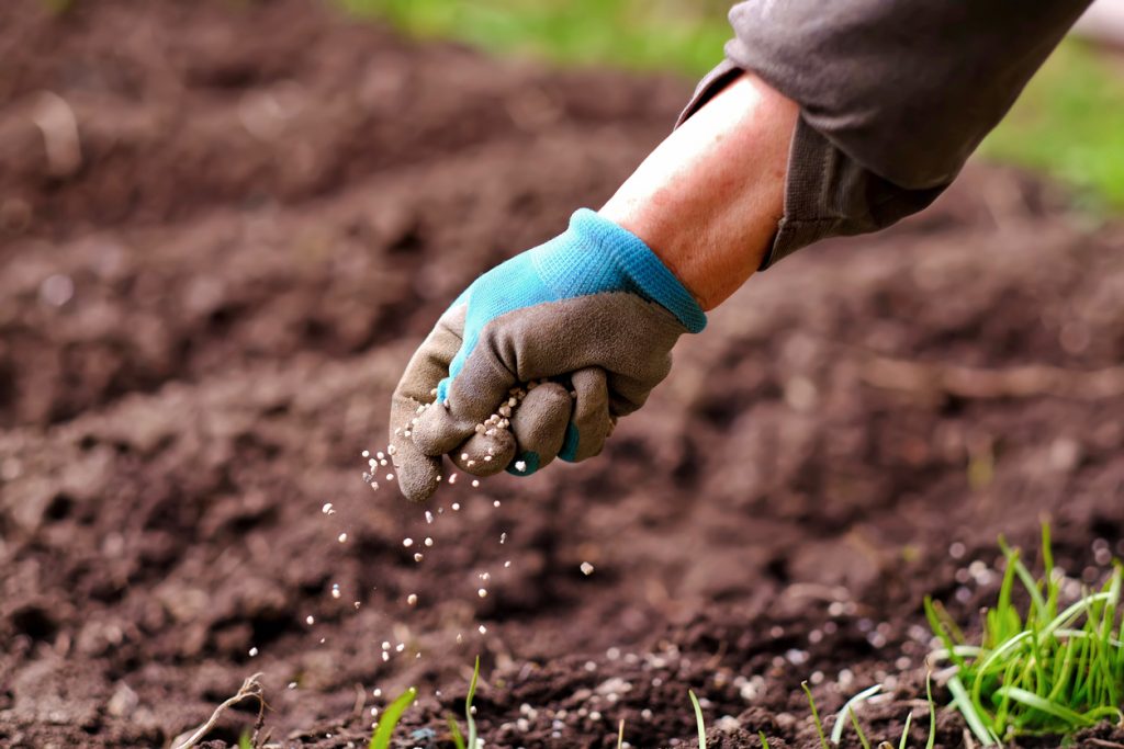 How people respond - The Sower scatters seed